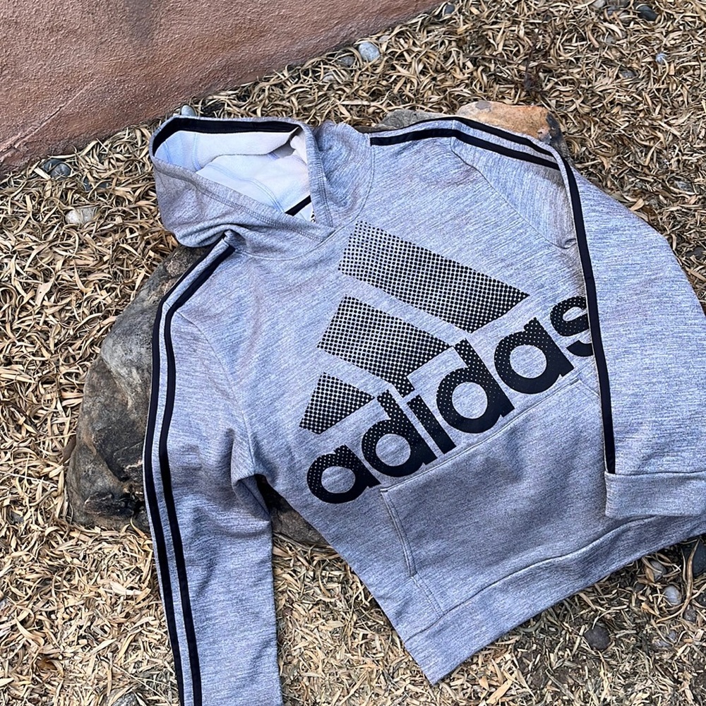 adidas graphic hoodie
